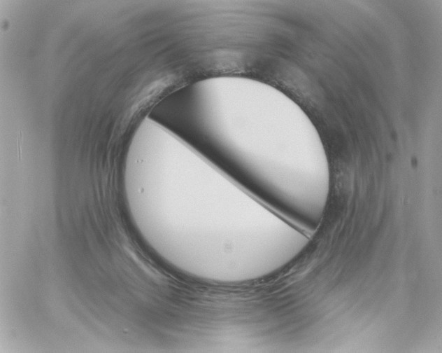 X0000060250072200511112006