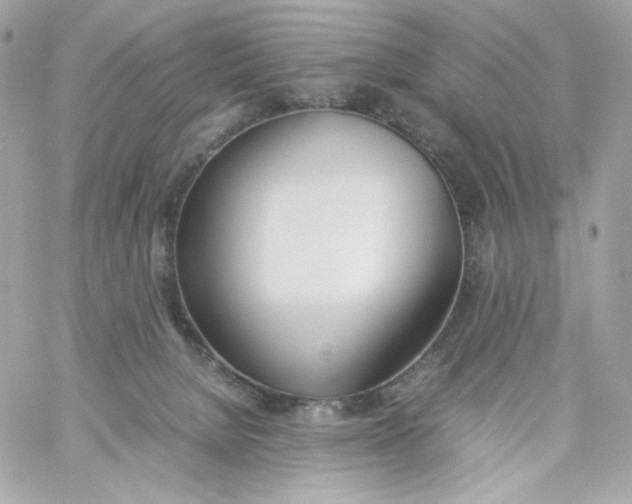 X0000060250080200511112006