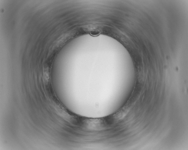 X0000060250085200511112006