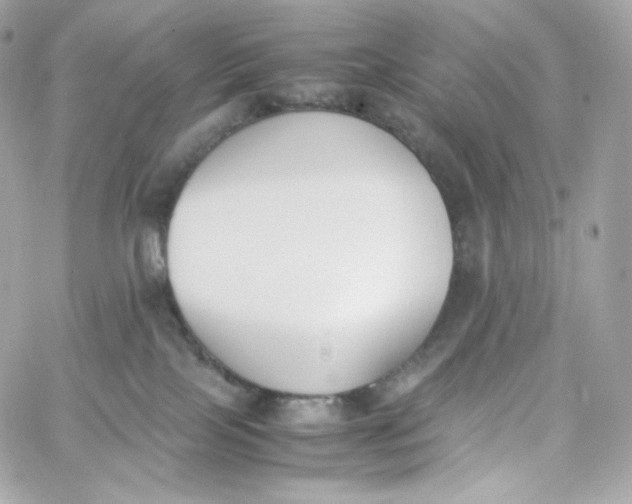 X0000060250089200511112006