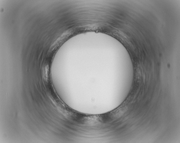 X0000060250118200511112005