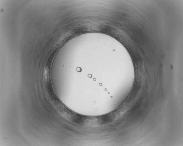 X0000060250123200511112005