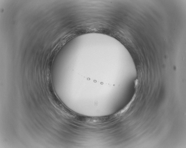 X0000060250174200511112004