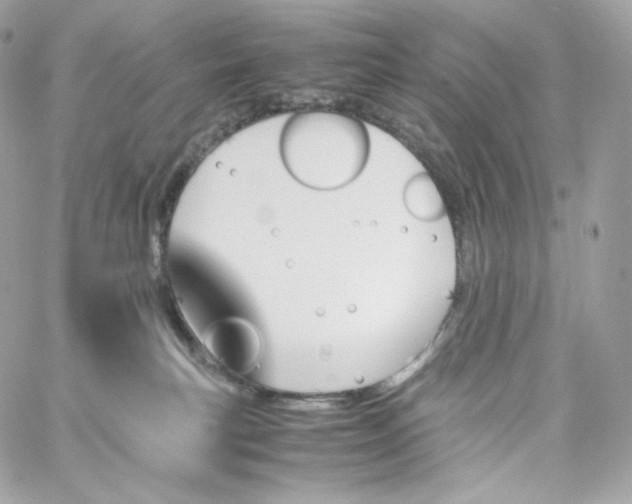 X0000060250183200511112004