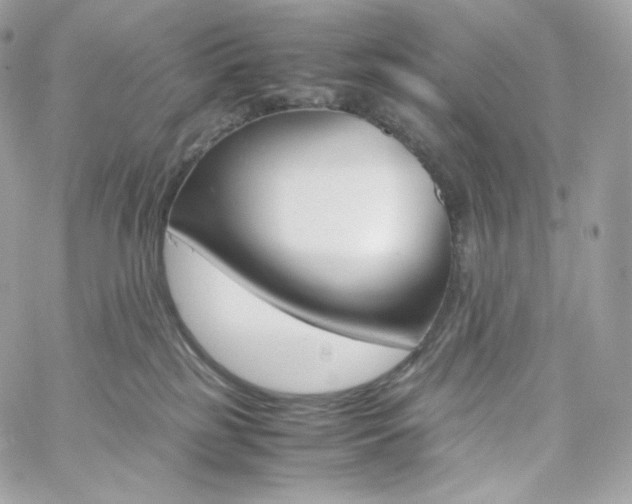 X0000060250185200511112004