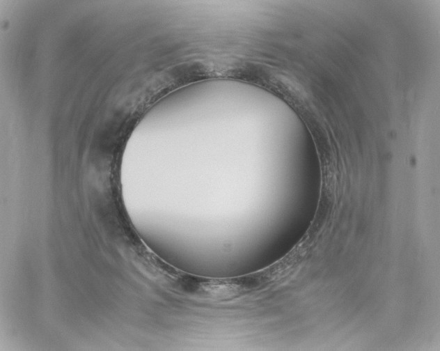 X0000060250221200511112003