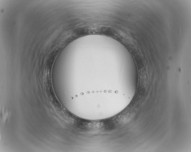 X0000060250225200511112003