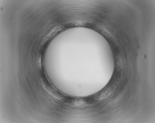X0000060250262200511112003