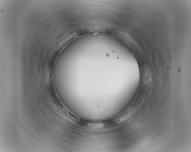X0000060250266200511112003