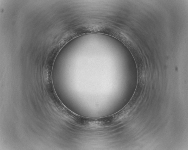 X0000060250268200511112003