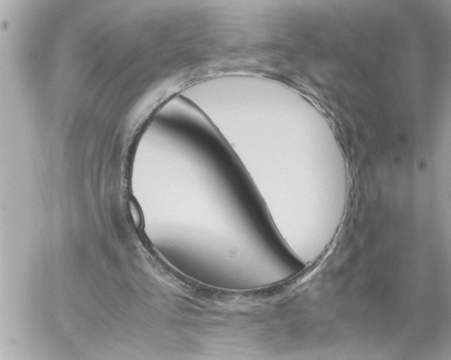 X0000060250293200511112002