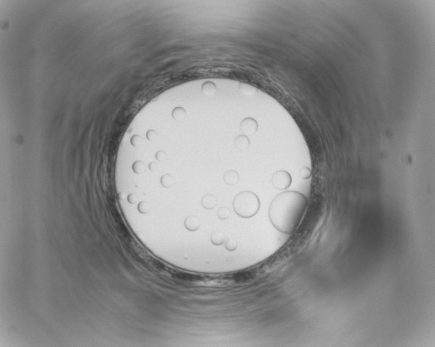 X0000060250323200511112002