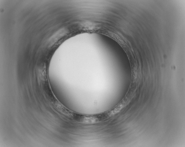 X0000060250376200511112001