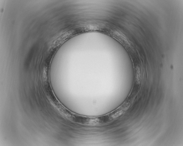 X0000060250410200511112000