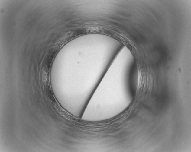 X0000060250417200511112000