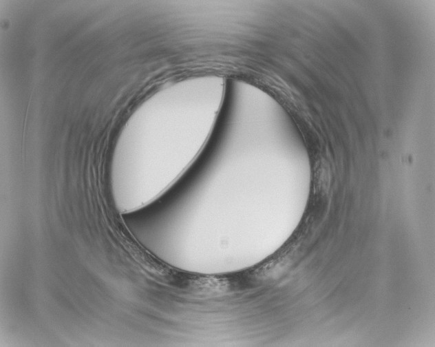 X0000060250421200511112000