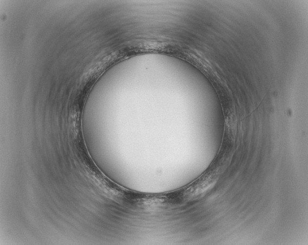 X0000060250462200511111959