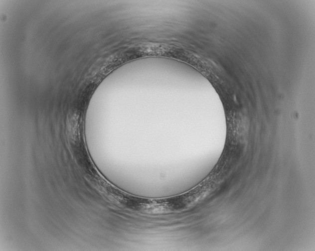 X0000060250511200511111958