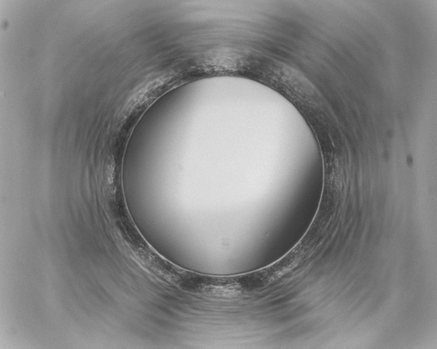 X0000060250548200511111958
