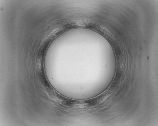 X0000060250595200511111957