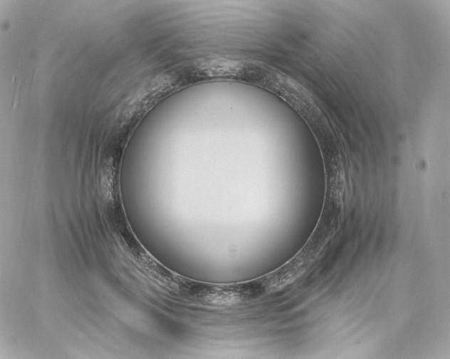 X0000060250604200511111957