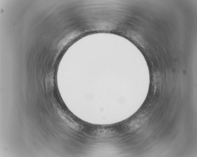 X0000060250632200511111956
