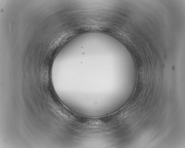 X0000060250642200511111956