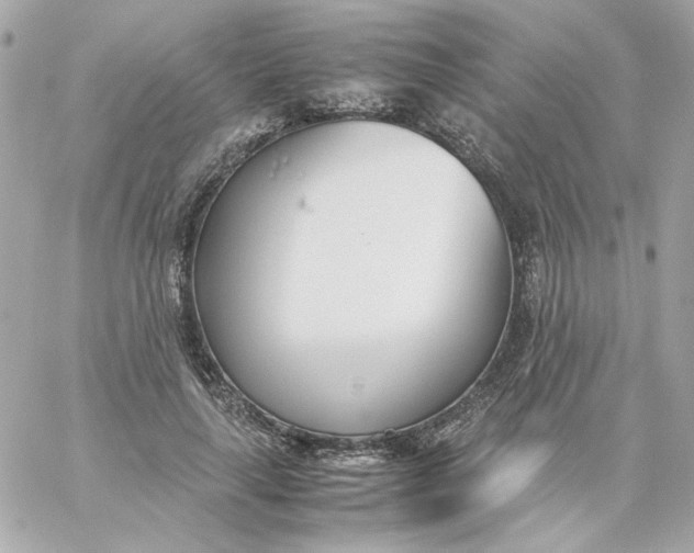 X0000060250643200511111956