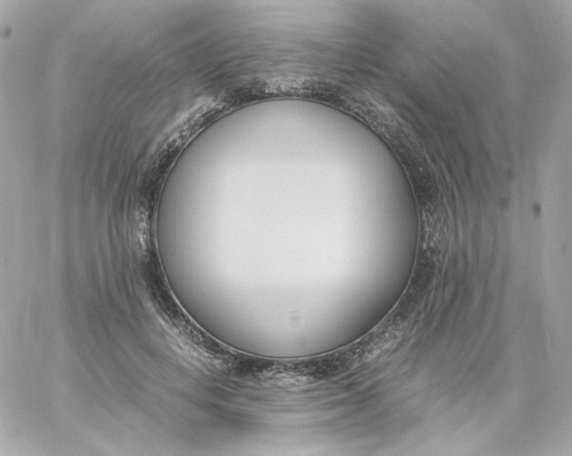 X0000060250648200511111956