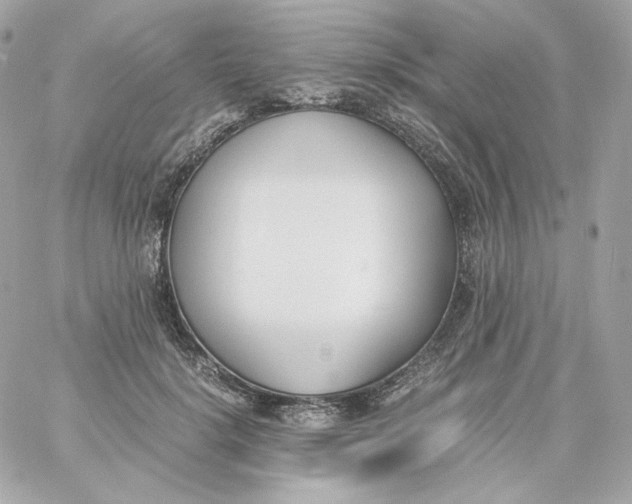 X0000060250652200511111956