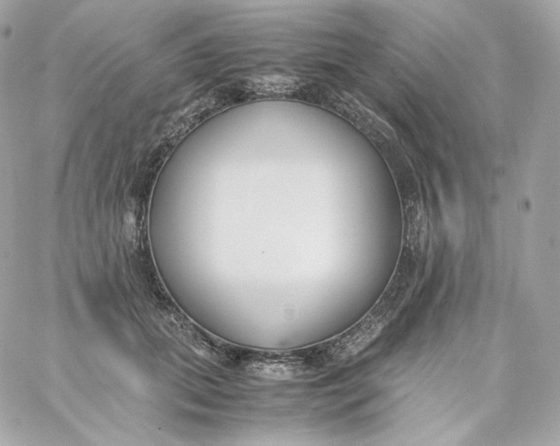 X0000060250655200511111956