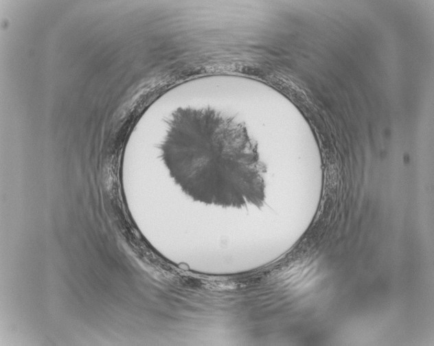 X0000060250687200511111955