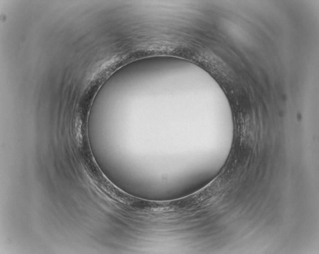 X0000060250692200511111955