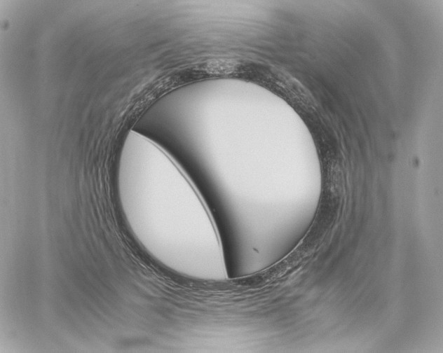 X0000060250697200511111955