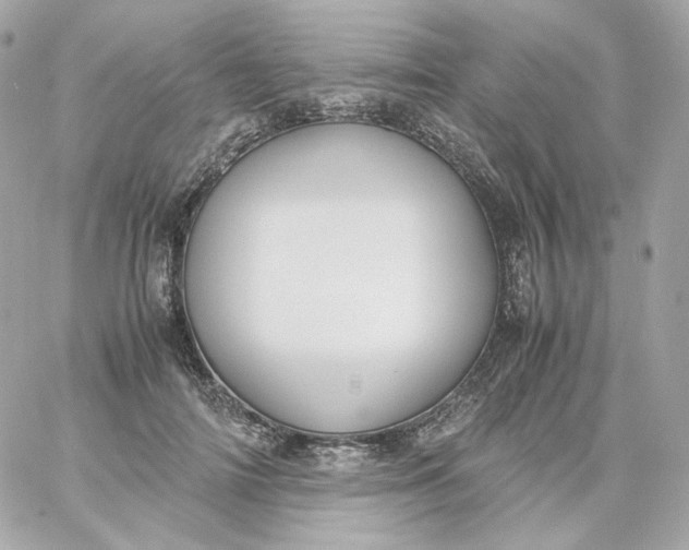 X0000060250698200511111955