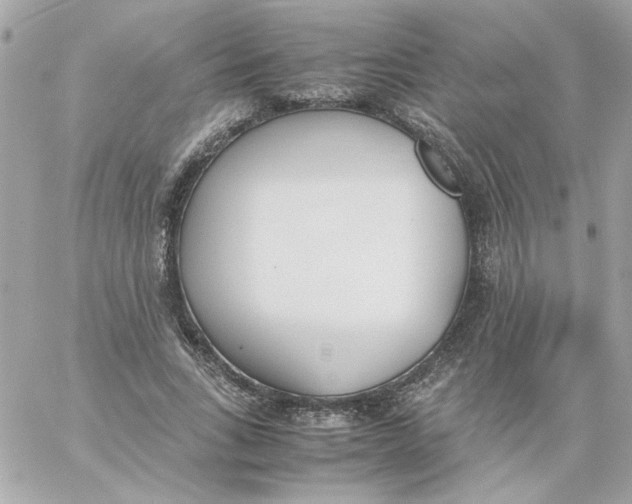 X0000060250735200511111954
