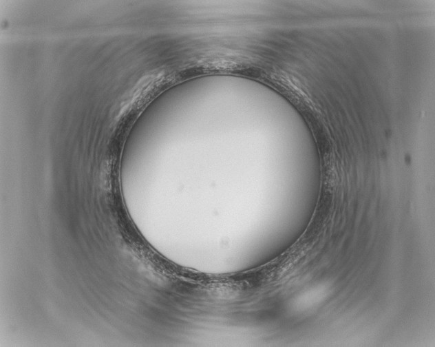 X0000060250738200511111954