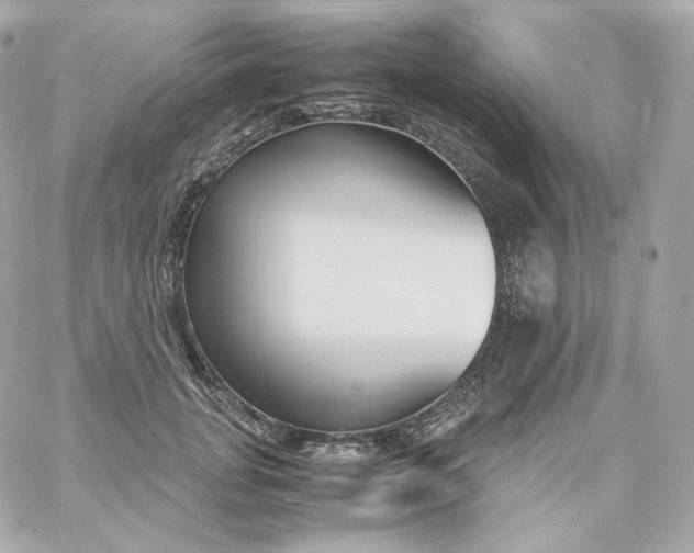 X0000060250751200511111955