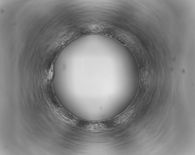 X0000060250752200511111955