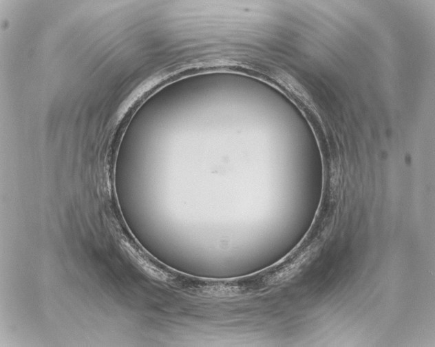 X0000060250789200511111954