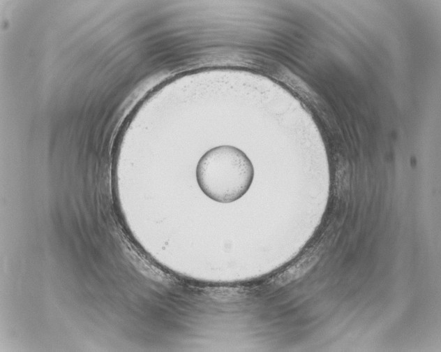 X0000060250836200511111953