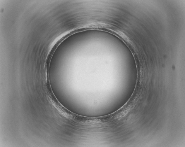 X0000060250838200511111953