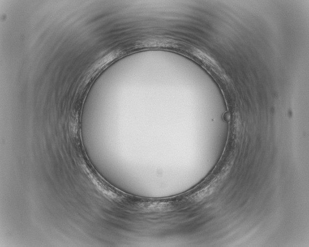X0000060250841200511111953