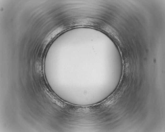 X0000060250882200511111952