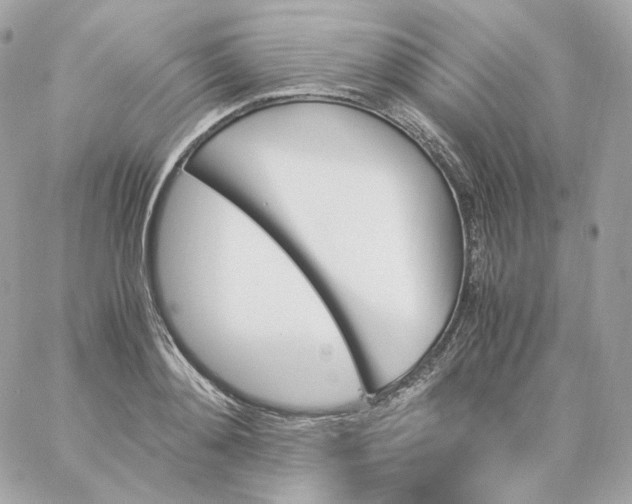 X0000060250892200511111952