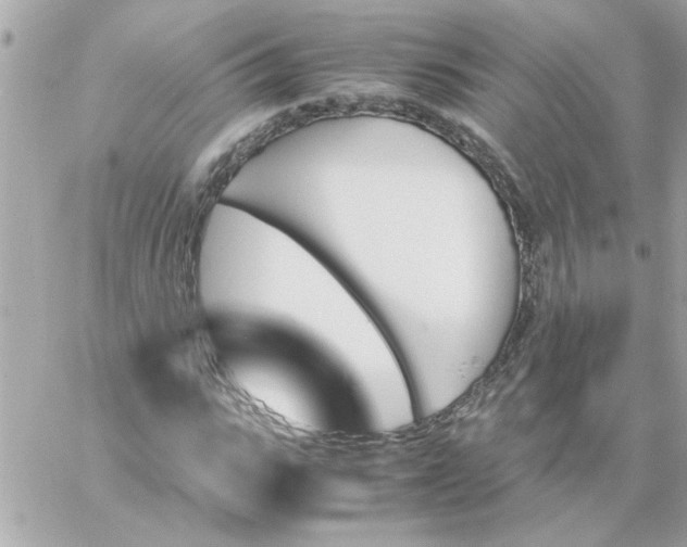 X0000060250919200511111951