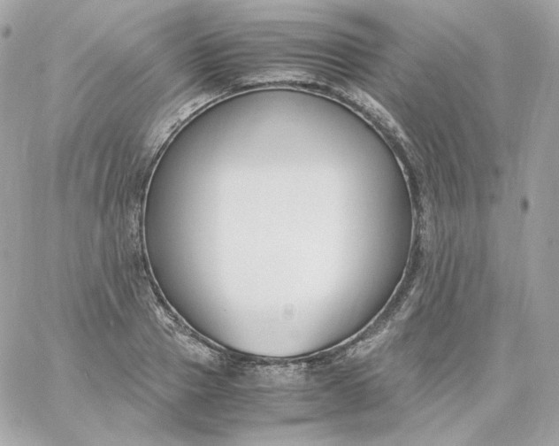 X0000060250937200511111951