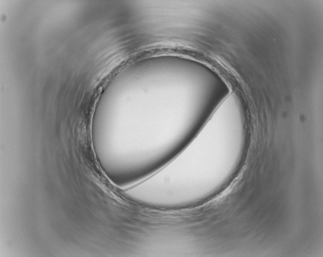 X0000060250969200511111951