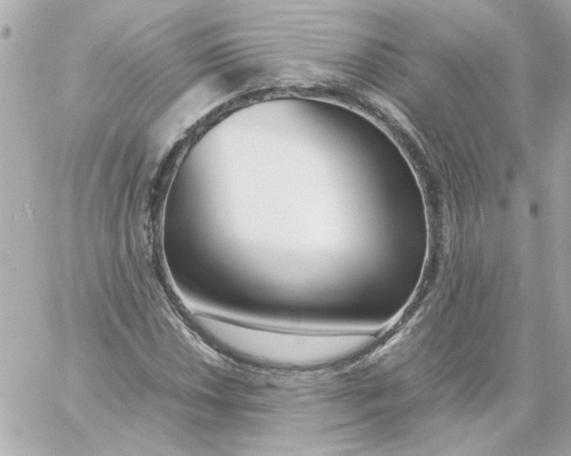 X0000060251018200511111949