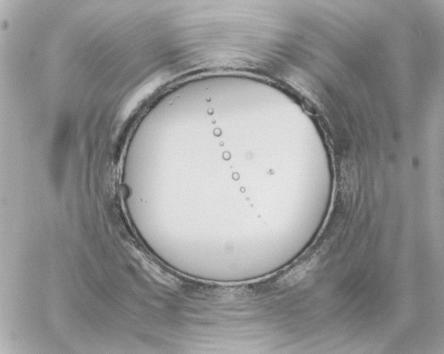 X0000060251067200511111949